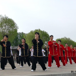 ɽ̫ȭֲ-ɽñĽ̫ȭƵƷ