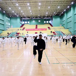 ¸ȫʽ̫ȭʮʽʵ·޸ɽѵ֪ͨ