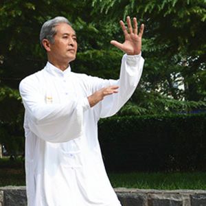 �ֶ��ӡ�������ͳ̫��ȭ������