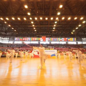 ��ʮ�Ľ��й�����������̫��ȭ�˶�����Ļ