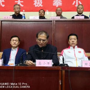 Сڳε170̫߳ȭСչݴĻʽϵĽ