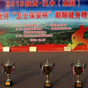 2018-(ǹ)̽Ļ¡ʿ뽡ȫ