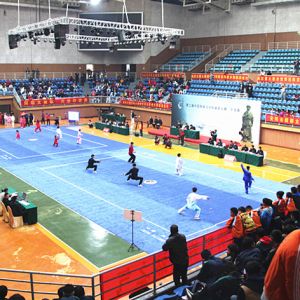 ǧȭ̫ʥӢۻ ڶ¼ҹ̫ȭĻ