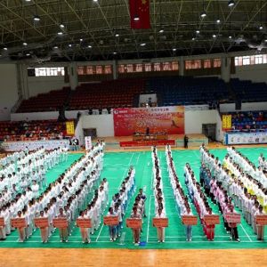 ȭΪý ʢ 2019Զ׽̫ȭԲٰ