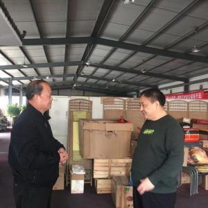 ߼˲۬ӡȫ̫ȭѧУ콻