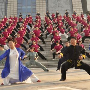 һ̫ѵ̫Ժʮ߽ʽ̫ȭ߼ѵ֪ͨ