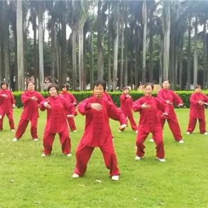 ȭʦ̫˷岽Ƶ̫ȭЭʶվ