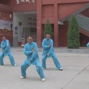 ȭʦ̫˷岽Ƶɽ̫ȭֲ