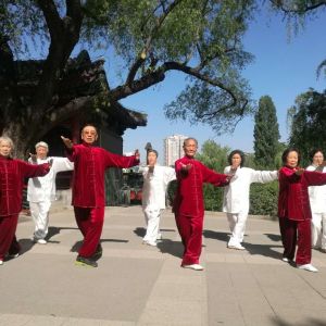 ����ȭʦ����̫�����˷��岽����Ƶ����������������̫��վ