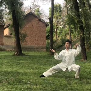 ����ȭʦ����̫�����˷��岽����Ƶ���������ܴ���