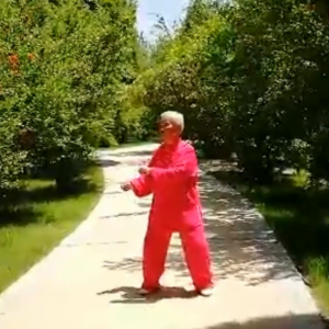 ����ȭʦ����̫�����˷��岽����Ƶ���������ο˷�