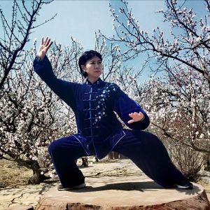 ����ȭʦ����̫�����˷��岽����Ƶ�����������绪