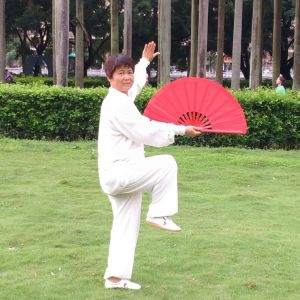 ����ȭʦ����̫�����˷��岽����Ƶ���������̽���