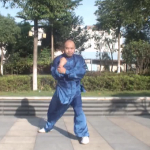 γнʽɢһ· ʽʮʽֱ̫ȭƵ