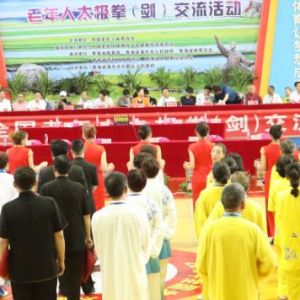 2019ȫ̫ȭຣʡп