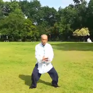 ɭ42ʽ̫ȭ ʽ̫ȭֱ̫ȭƵ