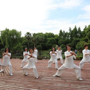 Ϻ̫Ż̫ȭЭᡪֱ̫ȭƵ