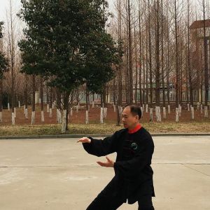 콨ɴͳʽ36ʽ̫ȭֱ̫ȭƵ