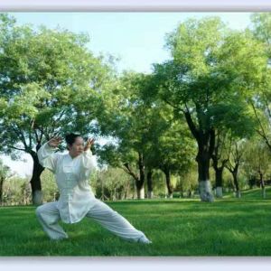 ܶ÷ͳ̫ȭһ·83ʽֱ̫ȭƵ