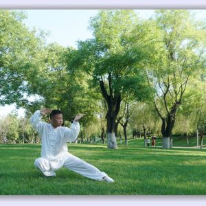 ´ͳ̫ȭһ·83ʽֱ̫ȭƵ