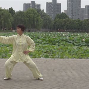 سʽ̫ȭʽֱ̫̫ȭƵ