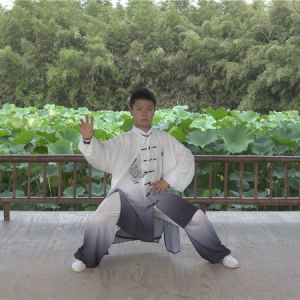 ܾ̩ʽ̫ȭ ʽֱ̫̫ȭƵ