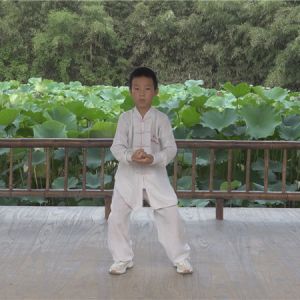 껳ʽ̫ȭ ʽֱ̫̫ȭƵ