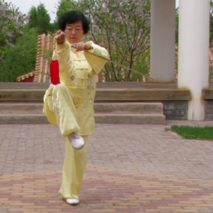 ̫ȭ36ʽ̫49ʽֱ̫ȭƵ