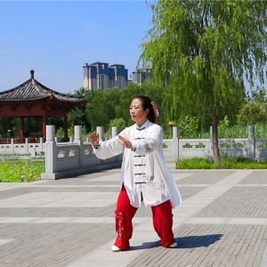 źʽ̫ȭ ʽֱ̫̫ȭƵ