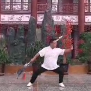 ʽ̫ȭ¼ܡʽ̫󵶡ֱ̫ȭƵ