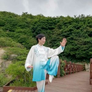 Ҷ÷ʽͳ̫56ʽֱ̫ȭƵ