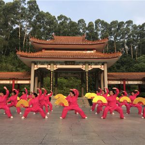 㶫ʡ˳̫ȭЭ̫ȡֱ̫ȭƵ