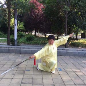 ջʽ̫ϼ13ʽֱ̫̫ȭƵ