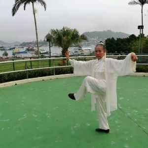 ŷ䵱ʽ40ʽ̫ȭ˷岽ֱ̫ȭƵ