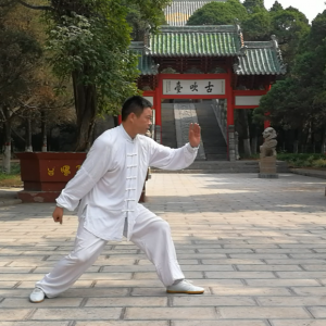 ë޳ʽ̫ȭС64ʽֱ̫ȭƵ