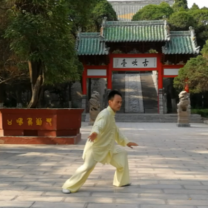 Ӫʽ̫ȭС64ʽֱ̫ȭƵ