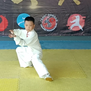 ǳسʽ̫ʽ̫ʽ̫ȭֱ̫ȭƵ