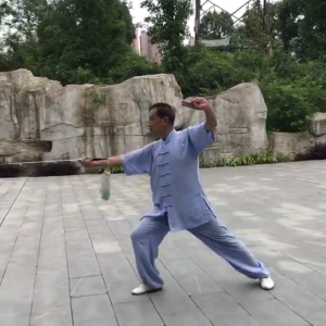 ظճʽ̫ʮʽֱ̫̫ȭƵ