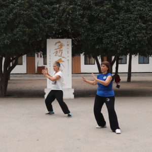 Greg Eplianʽ̫ȭϼһ·ѡΡֱ̫ȭƵ