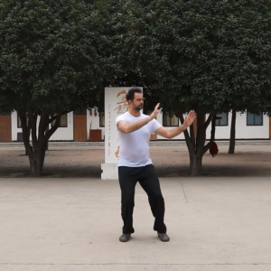 Fabianʽ̫ȭϼһ·ѡΡֱ̫ȭƵ