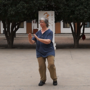 Silviaʽ̫ȭϼһ·ѡΡֱ̫ȭƵ