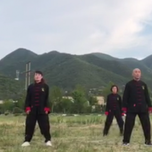 ˳г¼ҹɭ̫ѵġֱ̫ȭƵ