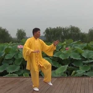 32ʽ̫ʽͳ̫ȭֱ̫ȭƵ