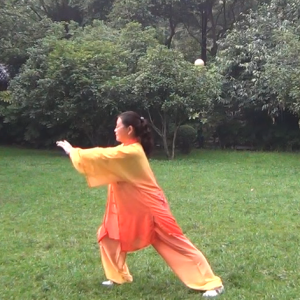 Ӣ̫ʽͳ̫ȭֱ̫ȭƵ