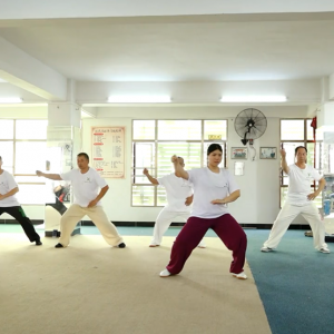 ̫ѧ㶫ֻʽ̫ȭֱ̫ȭƵ