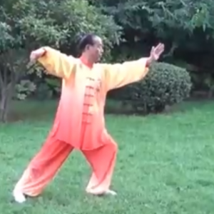 ͦճʽ42ʽ̫ȭʽͳ̫ȭֱ̫ȭƵ