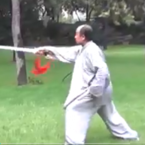 ʽͳ̫ȭʽֱ̫̫ȭƵ