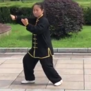 ʽ̫ʽ̫ȭͳ·ֱ̫ȭƵ