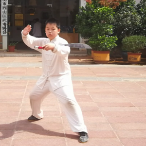 ͳ̫̫ȭܶ·ֱ̫ȭƵ