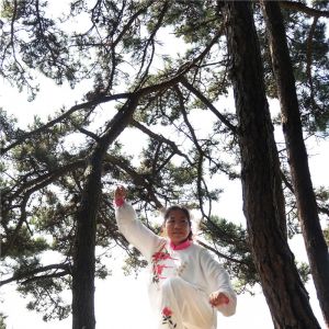 Ⱥ̫ȭϼܶ·ʽ̫ȭϼԱ·ֱ̫ȭƵ ...